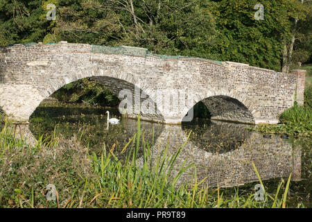 Swan natation sur le lac sous le pont en pierre voûtée historique à l'abbaye de Waverley House, Surrey, UK Banque D'Images