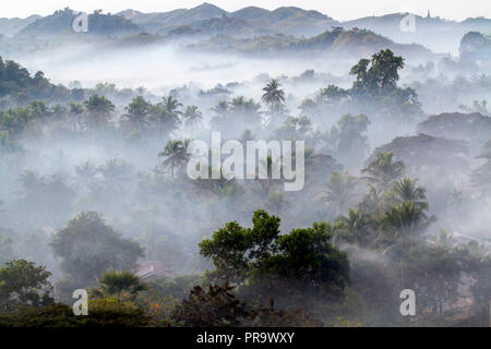 Brume du matin dans la jungle et les collines à l'extérieur de Mrauk U ville. Côte ouest du Myanmar Banque D'Images