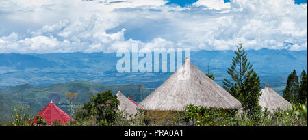 Vue panoramique sur la vallée de Baliem, avec en tête des huttes. Wamena, Papouasie, Indonésie. Banque D'Images