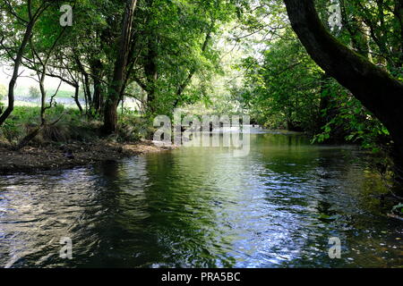 Rivière Dove, Derbyshire, Dovedale, stepping Stones, pêche à la mouche, moutons. Rivière Dove, Stone Crossing, Beauty Spot, Peak District, Beauté naturelle. Banque D'Images