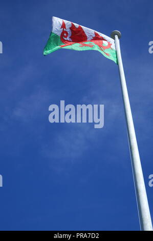 Drapeau gallois, y ddraig goch, dans le vent, Snowdonia, le Nord du Pays de Galles, Royaume-Uni Banque D'Images