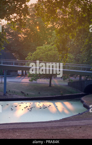 Parc de la Boverie à Liège. Liège, Wallonie, Belgique. Banque D'Images