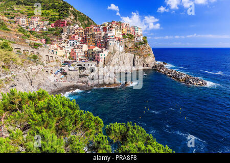 Manarola village du Parc National des Cinque Terre, la Ligurie en Italie. Banque D'Images