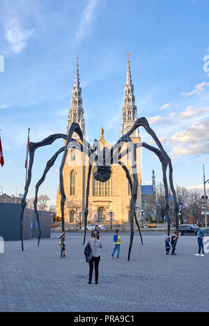 OTTAWA, CANADA - 5 mai 2018 : sculpture araignée Maman et cathédrale Notre-Dame Basilica à Ottawa en soirée. Maman est un bronze, acier inoxydable sculpt Banque D'Images