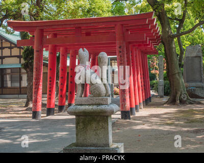 Kitsune fox guardian et vermillion torii, Oyamazumi culte, Imabari, Ehime, Shikoku, Japon Banque D'Images