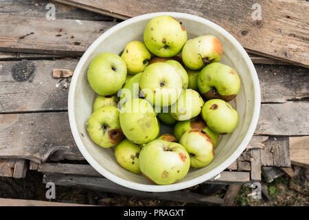 La pomme verte pourrie se situent dans un bol sur les anciennes cartes Banque D'Images