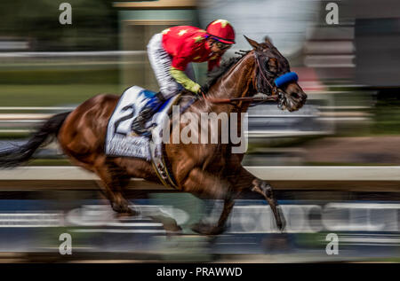 Arcadia, CA, USA. Sep 30, 2018. 30 septembre 2018 : Mike Smith et à l'Abel Tasman Zenyatta Stakes à Santa Anita Park le 30 septembre 2018 à Arcadia, Californie. Evers/ESW/CSM/Alamy Live News Banque D'Images