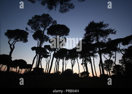 Rome, Italie. Sep 30, 2018. Les gens dans le parc de la Villa Doria Pamphili au coucher du soleil à Rome, Italie : Gari Crédit Wyn Williams/Alamy Live News Banque D'Images