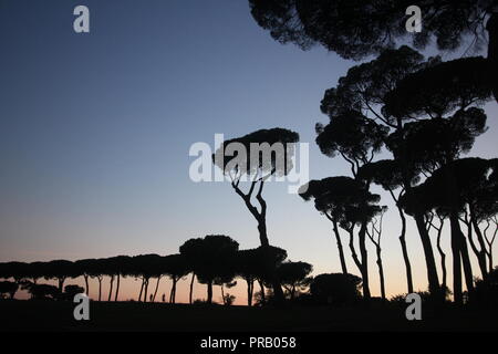 Rome, Italie. Sep 30, 2018. Les gens dans le parc de la Villa Doria Pamphili au coucher du soleil à Rome, Italie : Gari Crédit Wyn Williams/Alamy Live News Banque D'Images