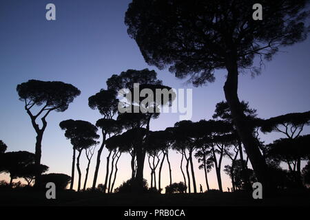 Rome, Italie. Sep 30, 2018. Les gens dans le parc de la Villa Doria Pamphili au coucher du soleil à Rome, Italie : Gari Crédit Wyn Williams/Alamy Live News Banque D'Images