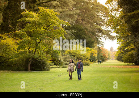 Westonbirt, Gloucestershire. 1 octobre 2018. Météo Royaume-uni spectaculaire:couleurs d'automne commencent à apparaître à l'Westonbirt Arboretum. En particulier, l'Organisation mondiale de la clairière célèbre acer brille dans la lumière du soleil comme un arc-en-ciel de tons de chaque faisceau sur la feuille d'érables du Japon. L'automne semble commencer tôt cette année et il est predicited d'être l'une des meilleures à ce jour en raison de l'été long et chaud, les visiteurs des numéros à la national arboretum devraient augmenter à cette époque de l'année. Credit : Wayne Farrell/Alamy Live News Banque D'Images