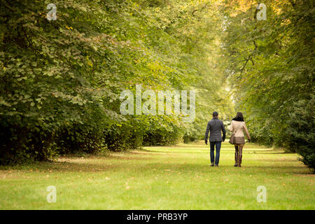 Westonbirt, Gloucestershire. 1 octobre 2018. Météo Royaume-uni spectaculaire:couleurs d'automne commencent à apparaître à l'Westonbirt Arboretum. En particulier, l'Organisation mondiale de la clairière célèbre acer brille dans la lumière du soleil comme un arc-en-ciel de tons de chaque faisceau sur la feuille d'érables du Japon. L'automne semble commencer tôt cette année et il est predicited d'être l'une des meilleures à ce jour en raison de l'été long et chaud, les visiteurs des numéros à la national arboretum devraient augmenter à cette époque de l'année. Credit : Wayne Farrell/Alamy Live News Banque D'Images