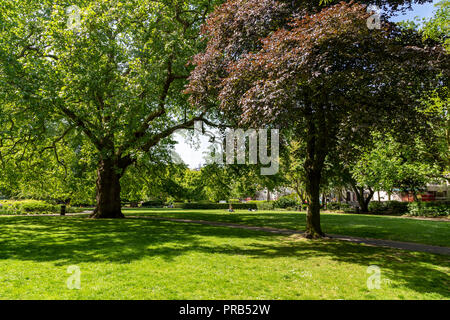 Brunswick Square Gardens, un parc public à Bloomsbury, Londres, UK Banque D'Images