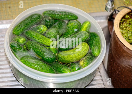 Les concombres vert marinés dans des bocaux en verre sur un comptoir de cuisine Banque D'Images