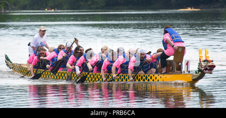 Dragon Boat Race Festival Dragonboat 2018, Pittsburgh, Pittsburgh, Pennsylvanie, USA Banque D'Images