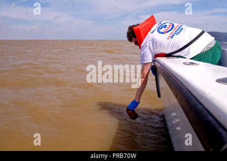 EPA contracte en prenant un échantillon d'eau dans le golfe du Mexique après le déversement de pétrole de BP 2010 Banque D'Images