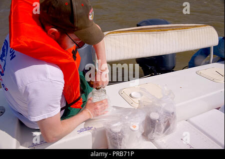 EPA contracte en prenant un échantillon d'eau dans le golfe du Mexique après le déversement de pétrole de BP 2010 Banque D'Images