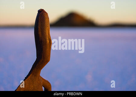 Les chiffres de l'acier par le sculpteur Antony Gormley pour Perth International Arts Festival sont parsemées à travers le lac Ballard près de Menzies en Australie de l'Ouest Banque D'Images