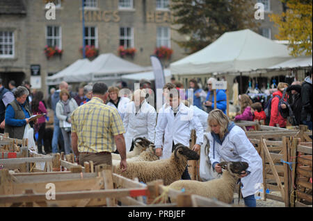 Juste des moutons Masham Yorkshire Angleterre UK Banque D'Images