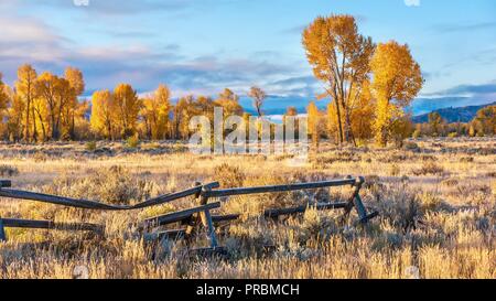 Un paysage d'automne en scène Jackson Hole, Wyoming, y compris un ancien style buck et rail ranch en bois colorés et clôture trembles tôt le matin Banque D'Images