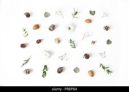 Motif floral de Noël. Composition d'hiver de feuilles d'eucalyptus et de branches, les cônes de mélèze, amandes, chrysanthème et gypsophile fleurs sur fond de table blanc. Mise à plat, vue du dessus. Banque D'Images