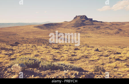 Journée ensoleillée dans la Pampa, le paysage et la nature de la Patagonie, Argentine, Amérique du Sud Banque D'Images