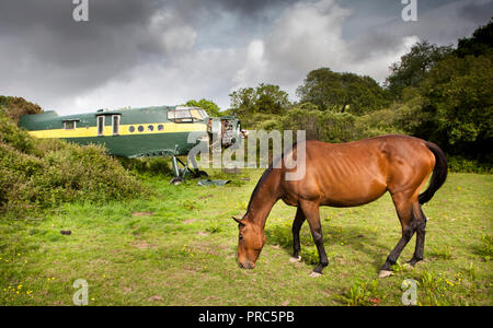 Bantry, Cork, Irlande. Le 05 juin, 2010. Un Antonov An-2 se trouve abandonded biplan dans un champ tandis qu'un cheval broute à l'extérieur de Bantry, dans le comté de Cork, Irlande. Banque D'Images