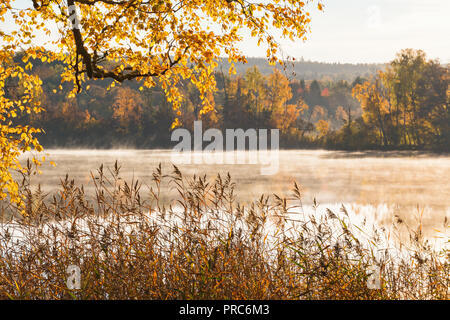 Vue du lac avec brouillard en automne Banque D'Images