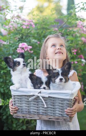 Une jeune fille tient un panier avec des chiots dans le jardin Banque D'Images