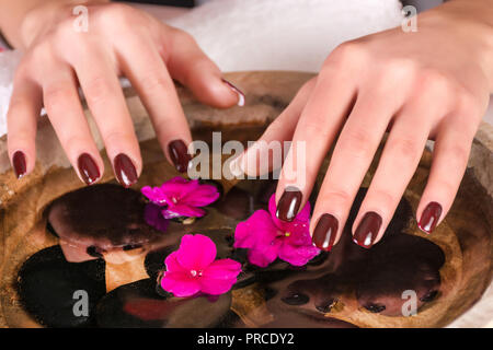 Jeune femme brune avec des mains gel nails polish au-dessus de l'eau avec des fleurs violettes et les pierres noires en bol en bois. Manucure et beauté concept. Close up Banque D'Images