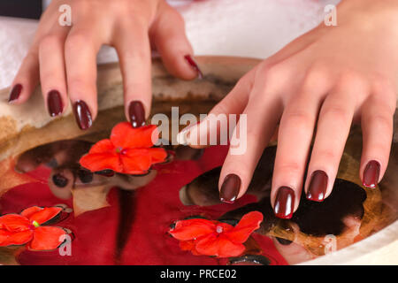 Jeune fille brune avec des mains manucure ongles gel polish sur au-dessus de l'eau avec les fleurs rouges et les pierres noires en bol en bois. Close up, selective focus Banque D'Images