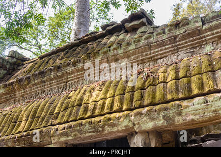 Unesco World Heritage site d'Ankor Thom, Siem Reap, Cambodge Banque D'Images