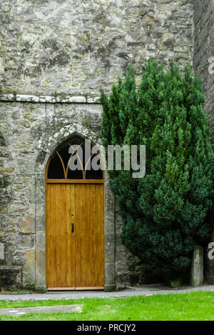 Porte en bois à l'entrée de l'église Saint Salvator de l'Irlande dans le parc de château, Leslie Glaslough, comté de Monaghan, Irlande. Banque D'Images