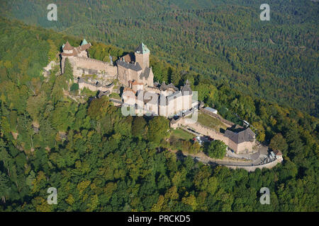 VUE AÉRIENNE. Château médiéval en grès rose sur un sommet de montagne boisé. Château du Haut-Koenigsbourg, Orschwiller, Bas-Rhin, Alsace, Grand-est, France. Banque D'Images