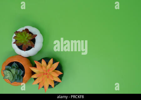 Citrouille Hallween cactus succulentes plantes en pot, isolé sur fond vert lumineux Banque D'Images