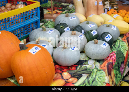 Citrouille, courge courge et affichage à Daylesford Organic farm shop festival d'automne. Daylesford, Cotswolds, Gloucestershire, Angleterre Banque D'Images