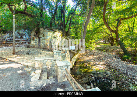 L'église Agia Théodora dans Isaris Péloponnèse, Grèce. Sur le toit de l'église ont connu des arbres géants sans racines à l'intérieur. Banque D'Images