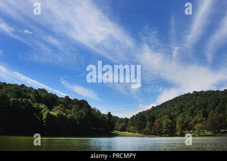 Blue Ridge Mountains, Virginie, États-Unis. Abbott Lake en été avec de beaux nuages sur ciel bleu. Banque D'Images