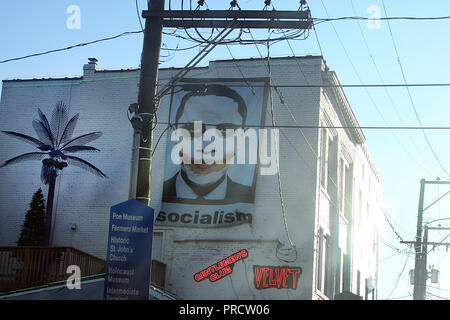 Richmond, Virginie, États-Unis, 2009. Affiche présentant le président Barack Obama comme le Joker du film Batman « le Chevalier noir » avec la légende « socialisme ». Banque D'Images