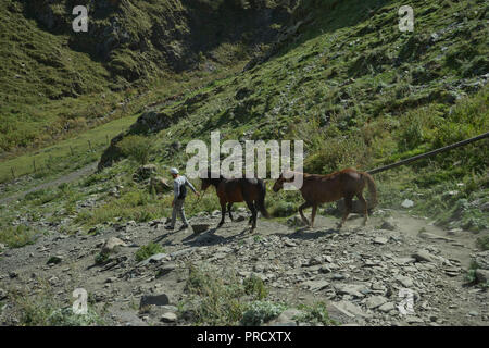 Guide de tourisme local avec les chevaux près de l'église Sainte trinité Gergeti par Chkheri la rivière, sous le mont Kazbegi, à une altitude de 2170 mètres dans le C Banque D'Images