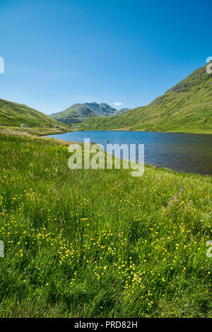 À la recherche sur le Loch Restil au repos et d'être reconnaissants, Argyll, Scotland UK Banque D'Images