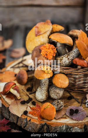 Champignons comestibles sauvages de la forêt d'automne (Boletus) dans panier sur fond de bois rustique Banque D'Images