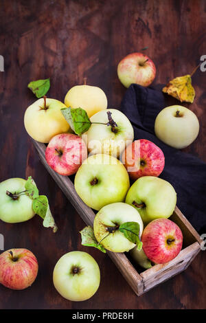 Frais mûrs pommes colorées, dans un coffret en bois sur fond rustique Banque D'Images