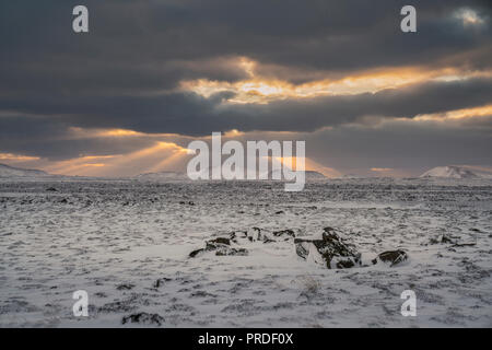 La neige a couvert de lave et mousse paysage, Reykjanes Peninsula, Iceland Banque D'Images