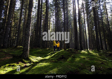 La mère et le fils de parler les uns aux autres dans une forêt de grands pins, éclairé par les rayons du soleil de l'arrière Banque D'Images