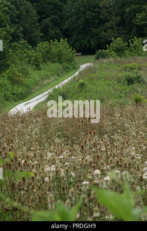 Sentier de randonnée au parc national de James River, Virginie, États-Unis Banque D'Images