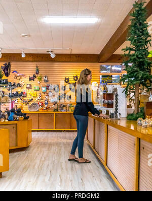 Une jeune femme parcourt la boutique de cadeaux à la Paul Bunyan et les arbres d'attraction mystère près de Klamath - California USA Banque D'Images