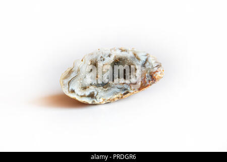L'agate frontière avec des cristaux de quartz à l'intérieur isolé sur fond blanc Banque D'Images