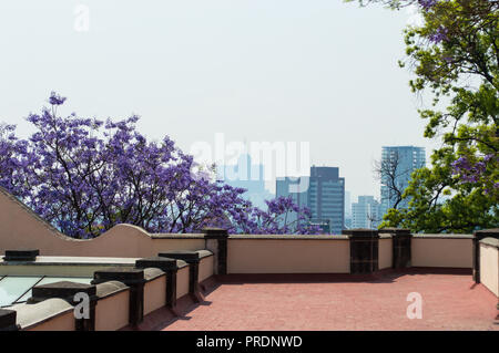 Vue du haut des toits de la ville château de Chapultepec avec notamment le World Trade Center. Jacarandas et de ciel gris, la ville de Mexico. Banque D'Images