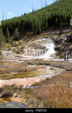 La vapeur s'élève du geyser de sang à l'Artists Paintpots dans le Parc National de Yellowstone, Wyoming. Banque D'Images